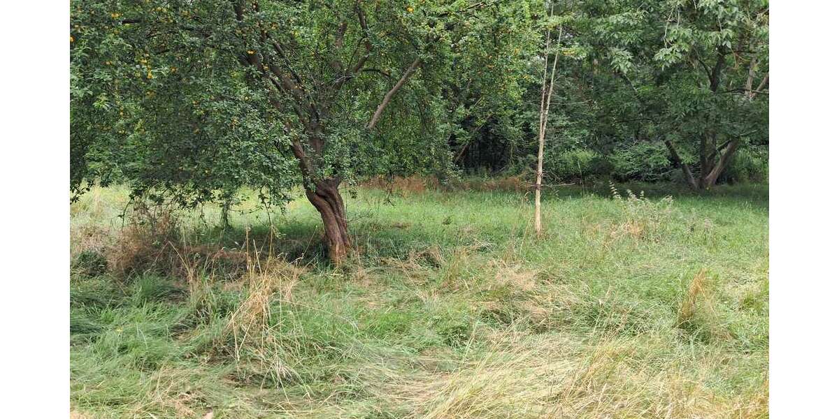 Grundstück Hitzacker (Elbe) - 120.000&euro; | Angebot:27135508