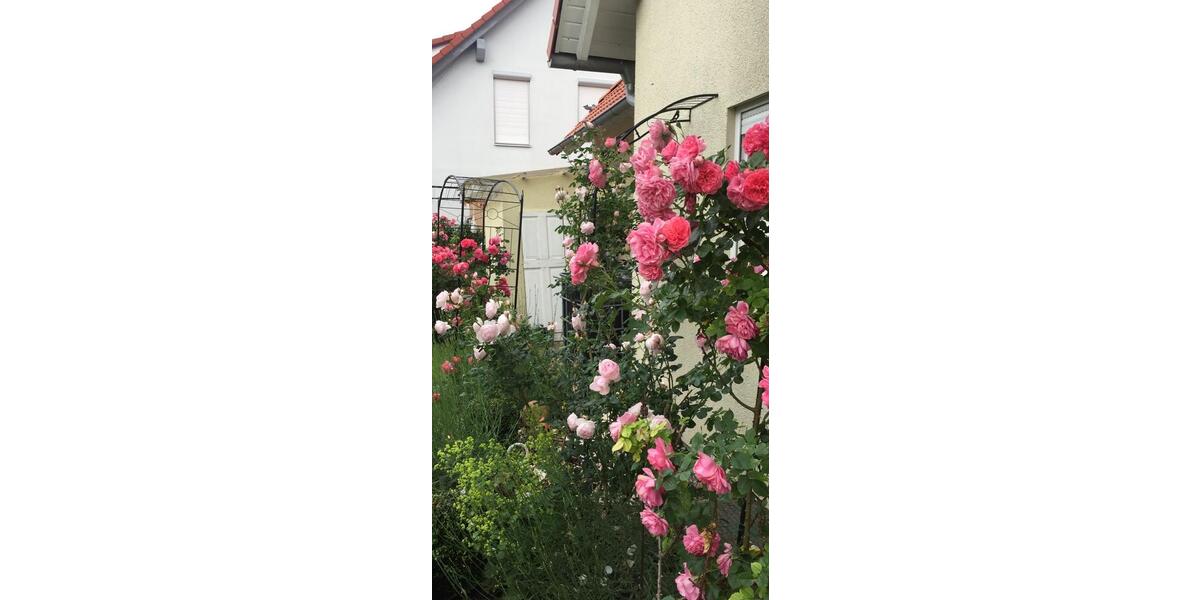 Einfamilienhaus Schwäbisch Hall - 9 Zimmer, 224 m&sup2;, 749.000&euro; | Angebot:26225579