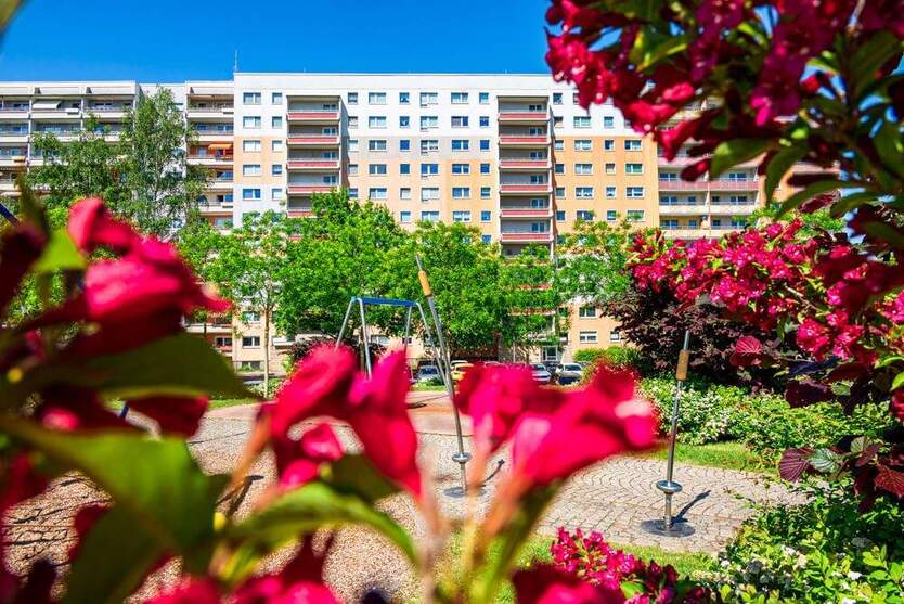 Wohnträume in gemütlicher 1-Raum-Wohnung 1 zimmer
