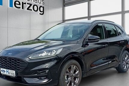 Ford Kuga 9.000 km 24.990 &euro; Schramberg 78713