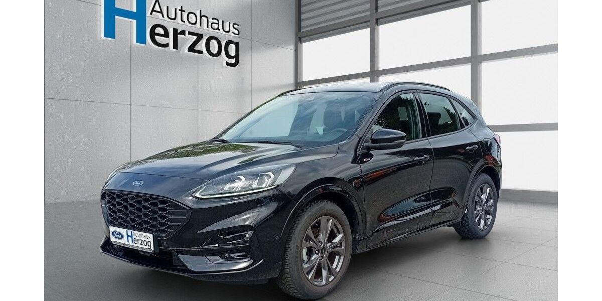 Ford Kuga 9.000 km 24.990 &euro; Schramberg 78713