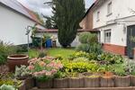 Hochparterre Gernsheim - 1 Zimmer, 40 m&sup2;, 490&euro; | Angebot:24743043