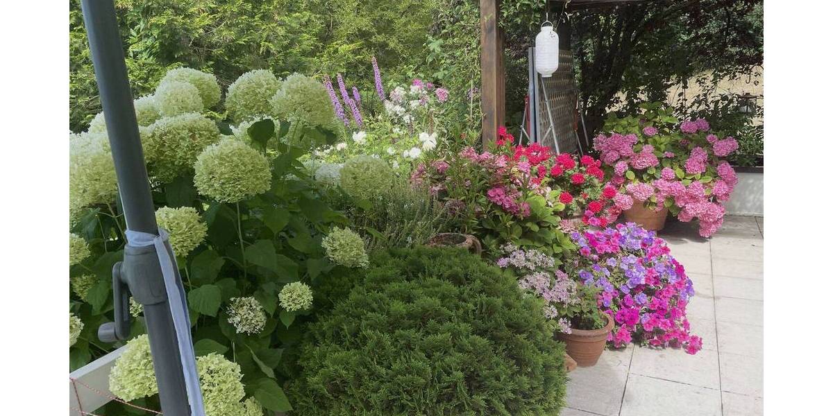 Terrassenwohnung Küssaberg Kadelburg - 5 Zimmer, 142 m&sup2;, 379.000&euro; | Angebot:26345644