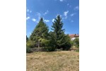 Bungalow Neunkirchen - 398.000&euro; | Angebot:27226806