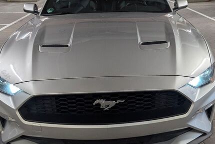 Ford Mustang 123.000 km 22.000 &euro; Gomaringen 72810
