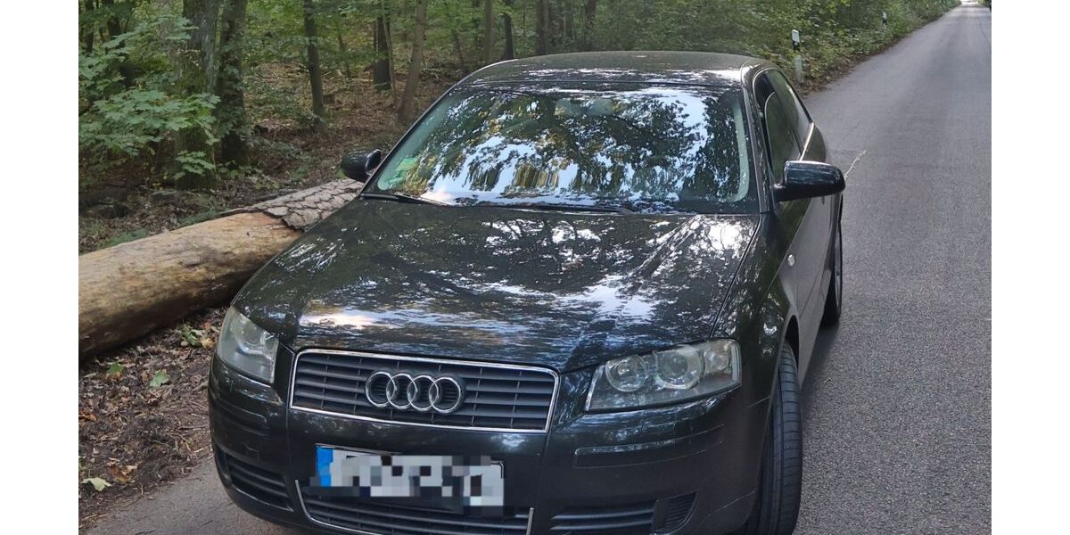 Audi A3 295.000 km 1.100 &euro; Berlin 13403