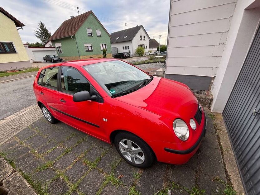 Polo