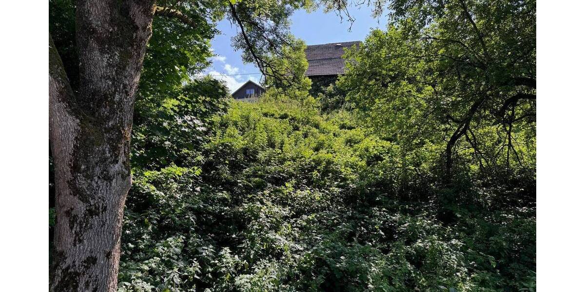 Großzügiges Grundstück mit Scheune in idyllischer Lage von Morsbach Rhein! zimmer