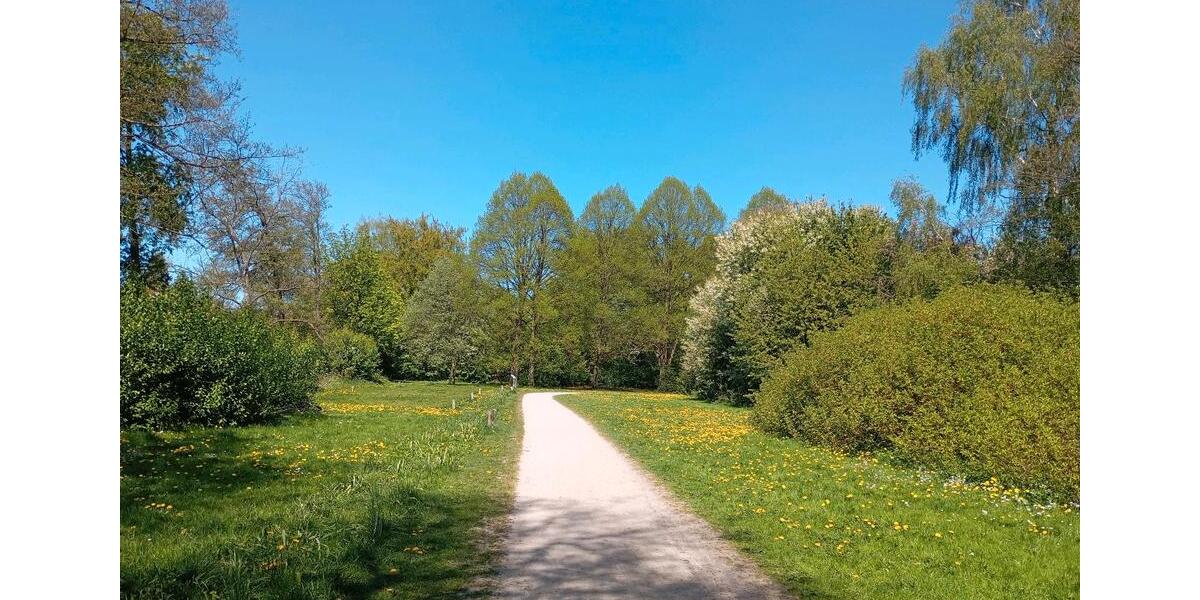 Wohnen auf Zeit Hamburg Hamburg-Mitte - 1 Zimmer, 37 m&sup2;, 900&euro; | Angebot:26407953