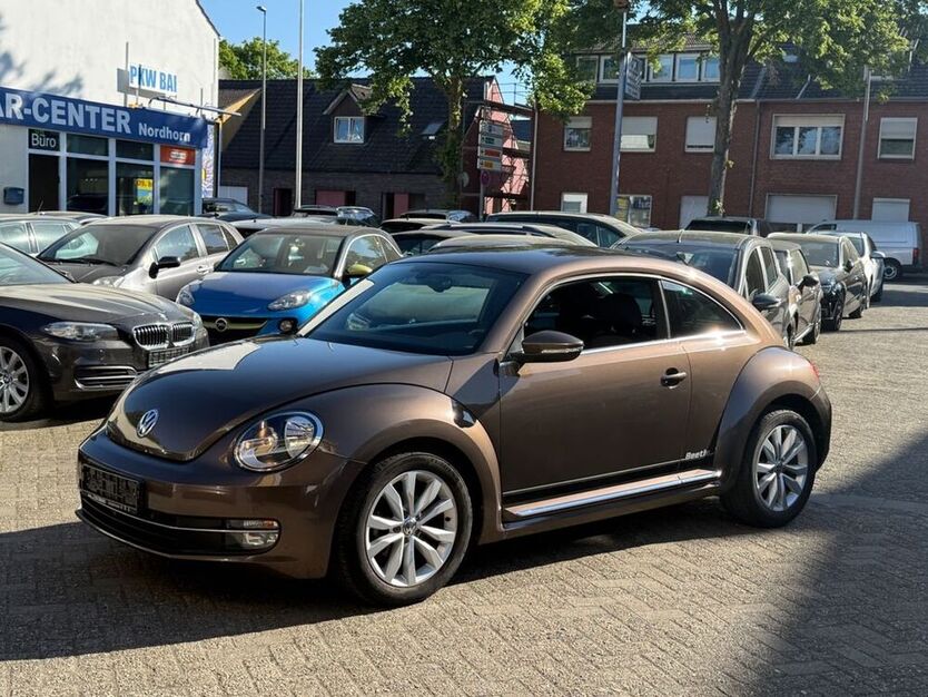 Beetle