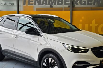 Opel Grandland (X) 36.300 km 21.900 &euro; Mettingen 49497