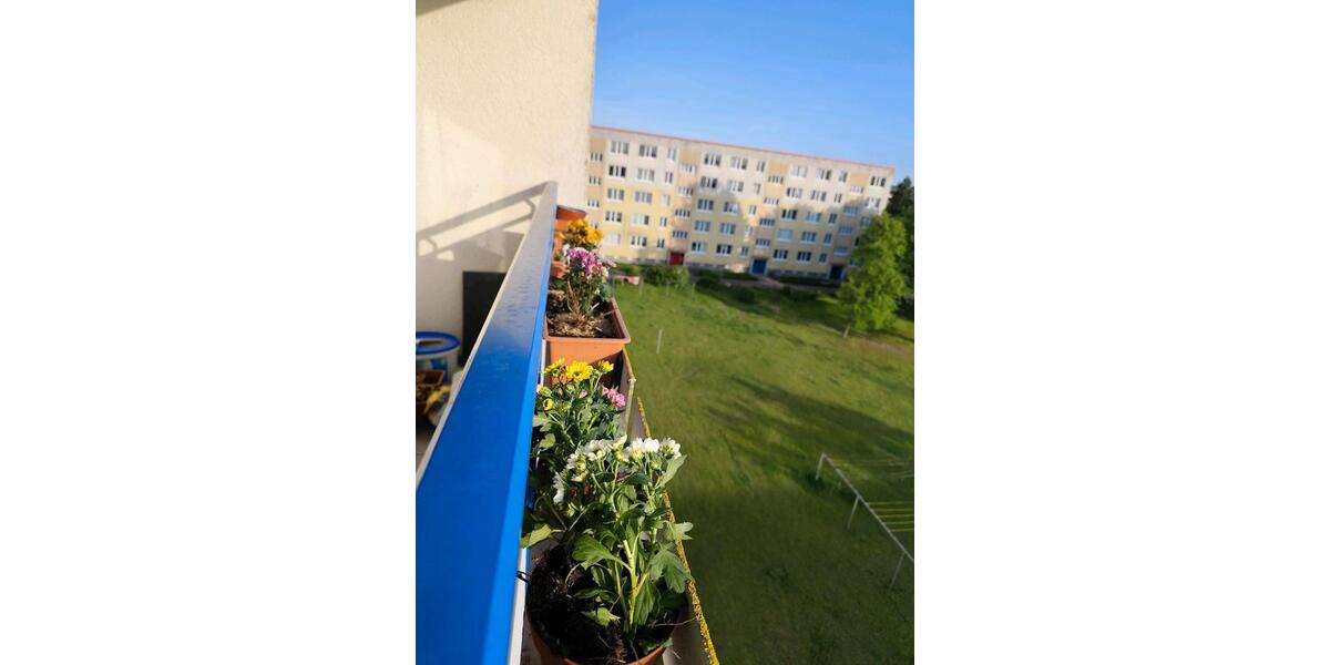 Etagenwohnung Güstrow - 3 Zimmer, 59 m&sup2;, 595&euro; | Angebot:26380140
