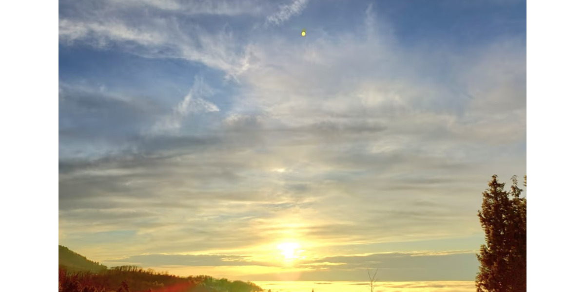 Erdgeschoßwohnung Bühl - 2 Zimmer, 50 m&sup2;, 1.000&euro; | Angebot:25396822