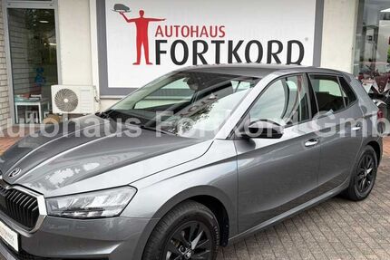 Skoda Fabia 14.980 km 17.980 &euro; Bielefeld 33689