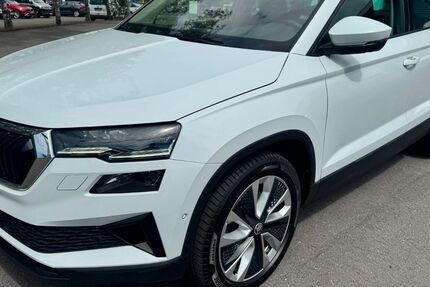 Skoda Karoq 195.700 km 19.900 &euro; Sundern 59846
