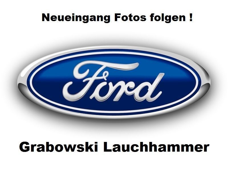 Ford Tourneo Custom 13.100 km 43.950 € Lauchhammer 01979
