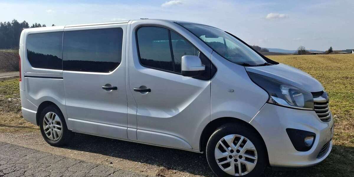 Opel Vivaro 251.000 km 11.000 &euro; Marktredwitz, GKSt 95615