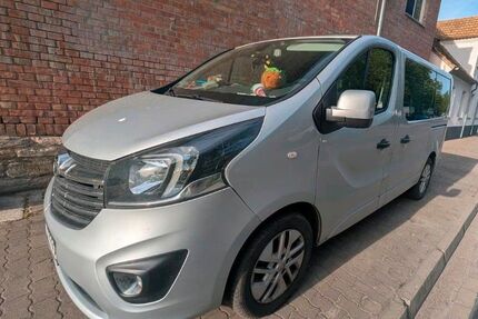 Opel Vivaro 146.000 km 14.000 &euro; Bad Lauchstädt 06246