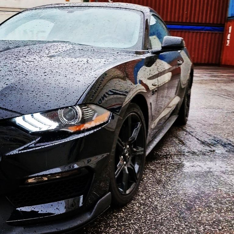 Mustang