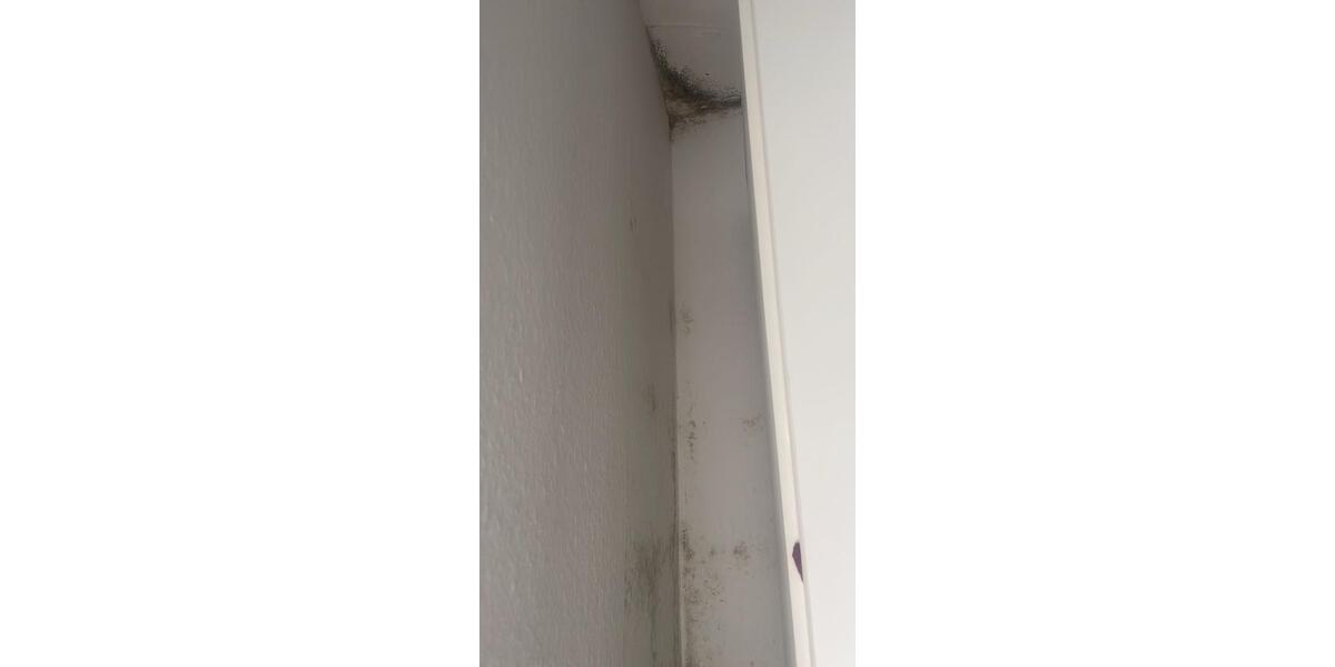 Etagenwohnung Lich - 3 Zimmer, 67 m&sup2;, 160.000&euro; | Angebot:26067833