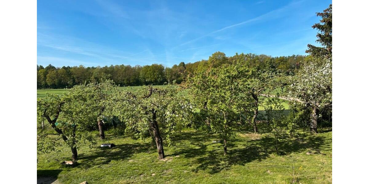 Einfamilienhaus Lalendorf - 4 Zimmer, 140 m&sup2;, 285.000&euro; | Angebot:25943186