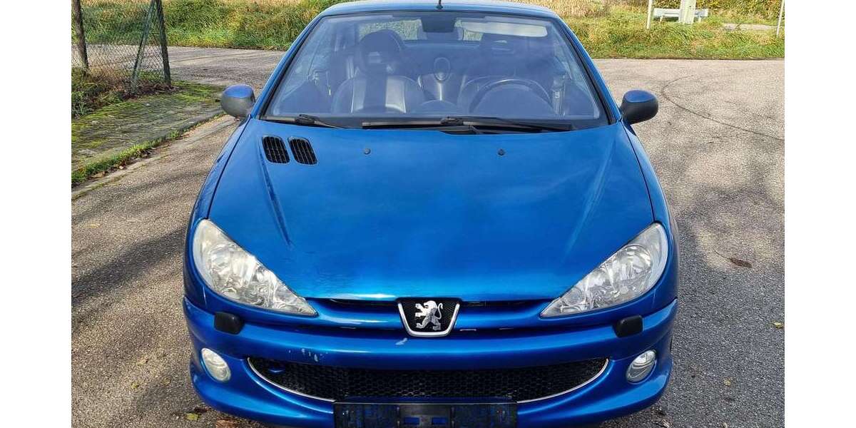 Peugeot 206 200.000 km 1.200 &euro; Hagenbach 76767