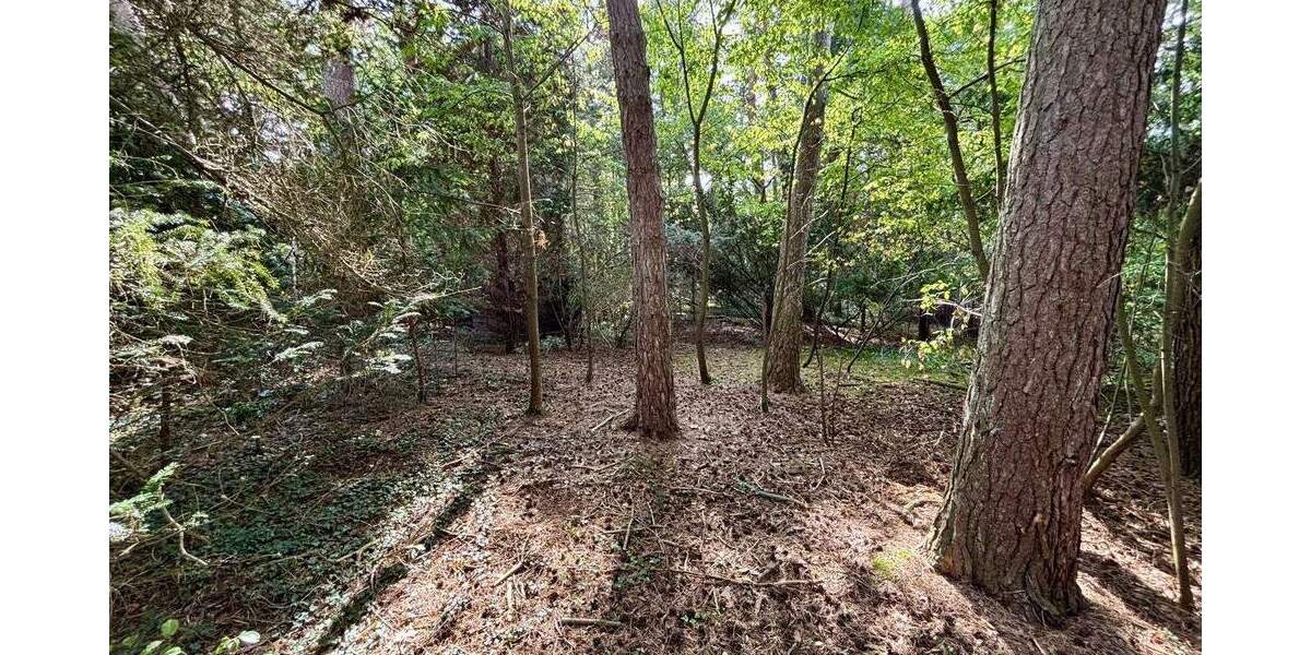 Grundstück Seevetal - Ramelsloh Ramelsloh - 775.000&euro; | Angebot:25661952