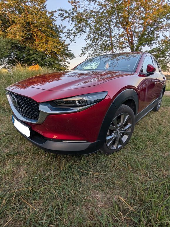 CX-30