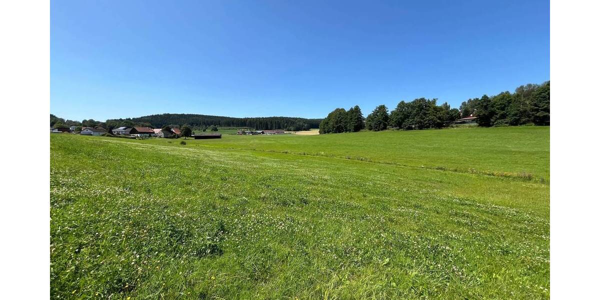 Grundstück Waidhaus - 100.000&euro; | Angebot:25697462