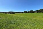 Grundstück Waidhaus - 100.000&euro; | Angebot:25697462