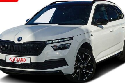 Skoda Kamiq 50.000 km 20.950 &euro; Wietmarschen 49835