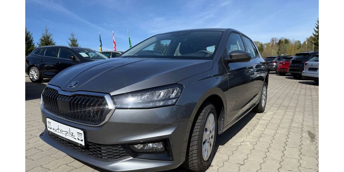 Skoda Fabia 18.162 km 16.990 &euro; Thermalbad Wiesenbad OT Schönfeld 09488