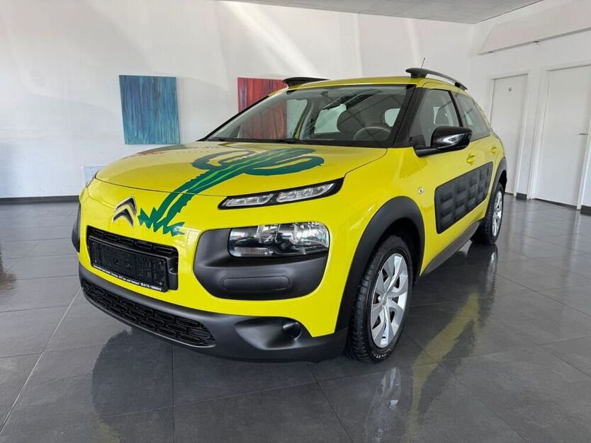 C4 Cactus