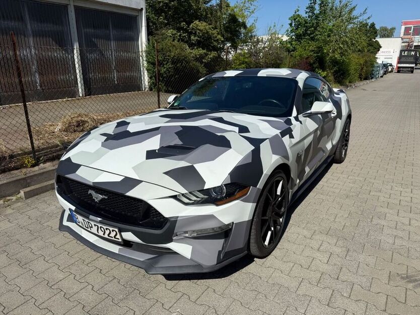 Mustang