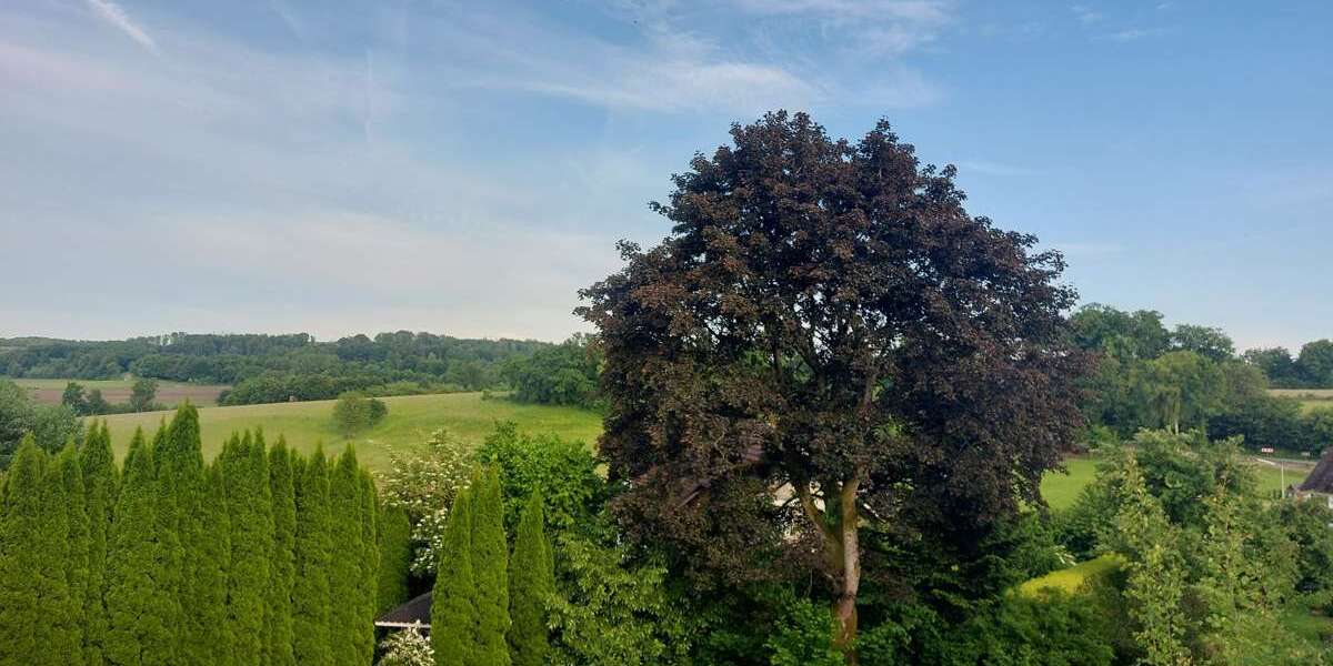 Grundstück Reichshof - 79.990&euro; | Angebot:24719210