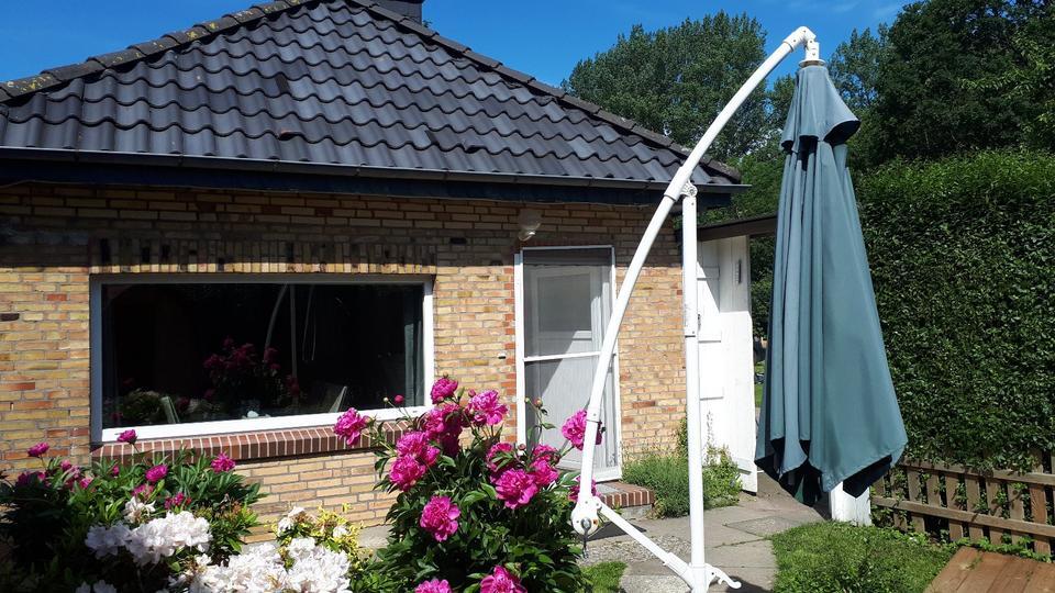 gemütliches FerienhausFerienWohnung,Ostsee,Sauna,Kamin,Hund&Meer
