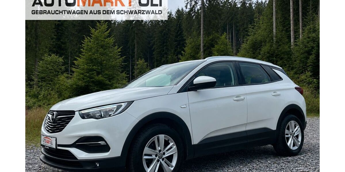 Opel Grandland (X) 114.000 km 13.490 &euro; Pfalzgrafenweiler 72285