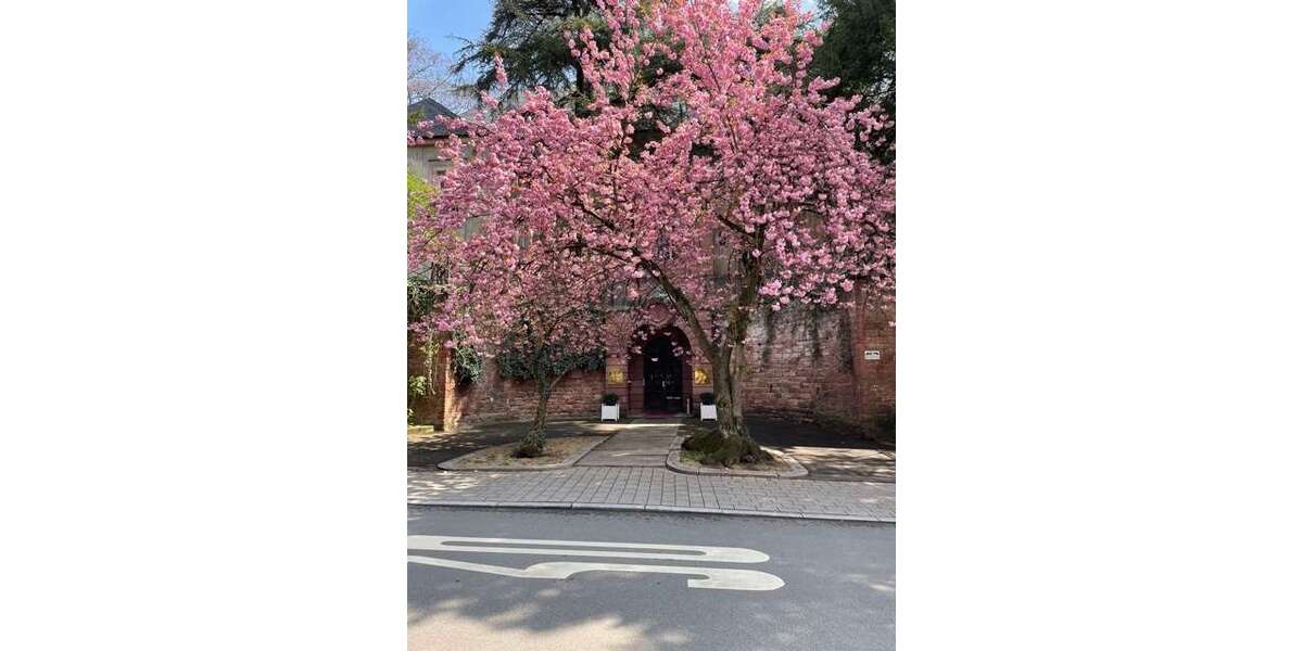 Etagenwohnung Heidelberg Handschuhsheim - 3 Zimmer, 107 m&sup2;, 1.022.000&euro; | Angebot:25938717