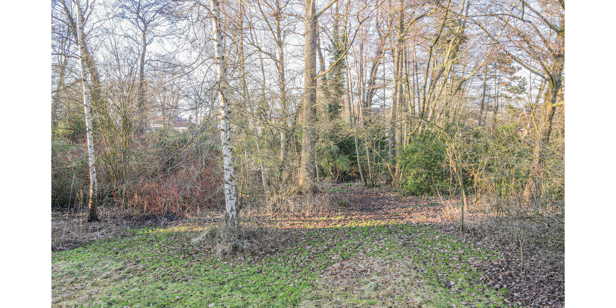 Ganderkesee Großzügiges Baugrundstück für 4 Wohneinheiten in begehrter Wohnlage - Grundstück Ganderkesee | Angebot:26262589