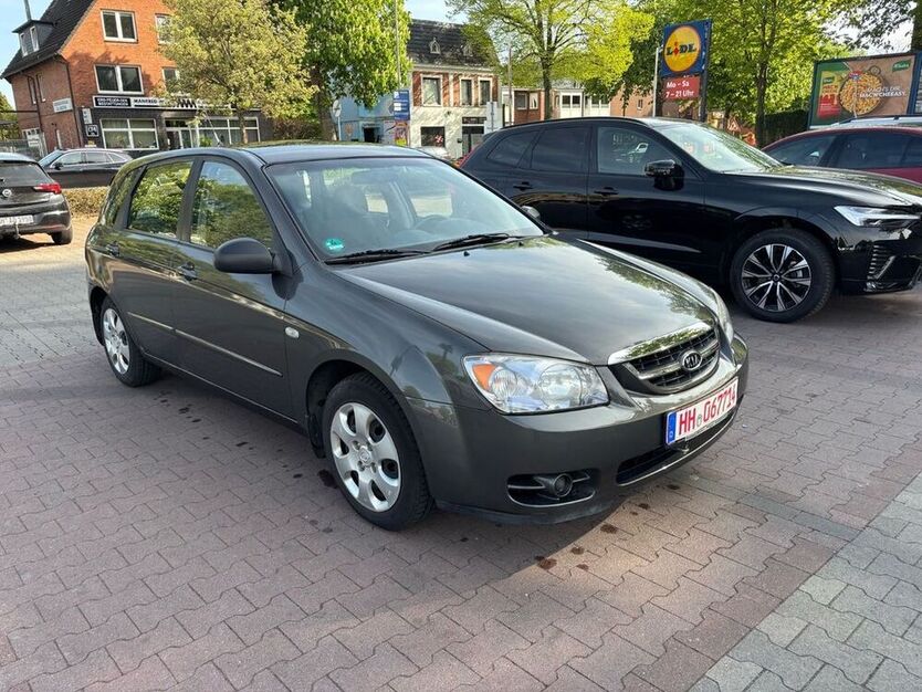 Cerato