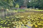 Ferienimmobilie Rheinsberg - 100&euro; | Angebot:26704533