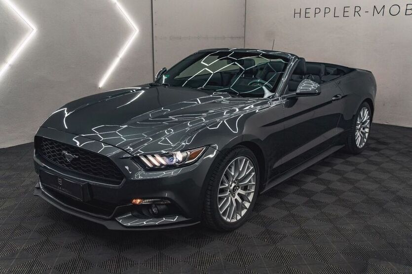Mustang