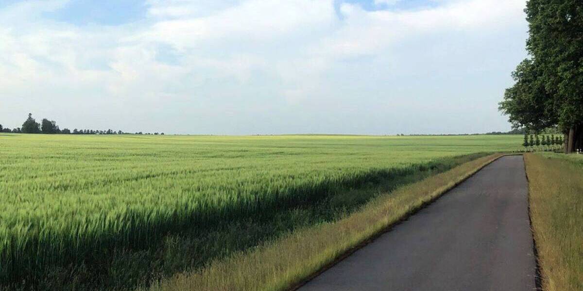 Grundstück Wiesenburg/Mark Wiesenburg - 124.548&euro; | Angebot:25734480