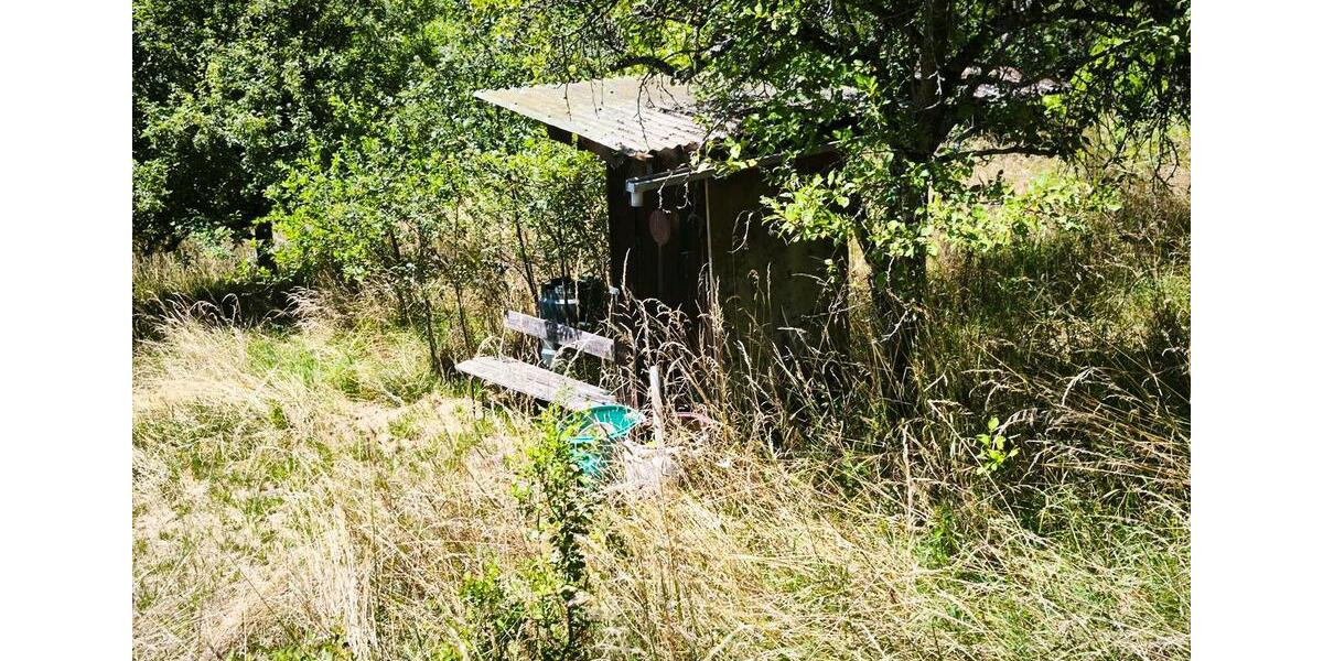 Grundstück Auenwald - 100&euro; | Angebot:26394229