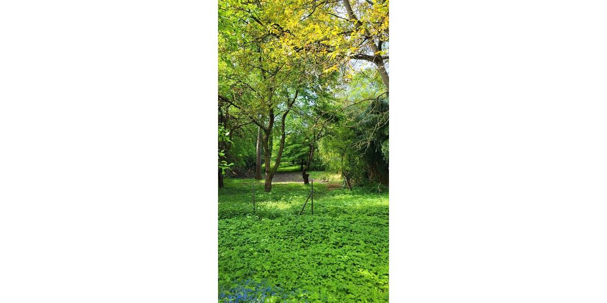 Einfamilienhaus Moisburg - 6 Zimmer, 150 m&sup2;, 575.000&euro; | Angebot:26676906