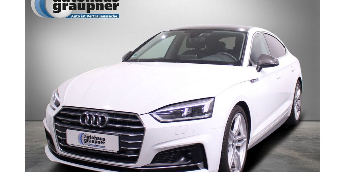 Audi A5 166.500 km 26.880 &euro; Brandis 04821