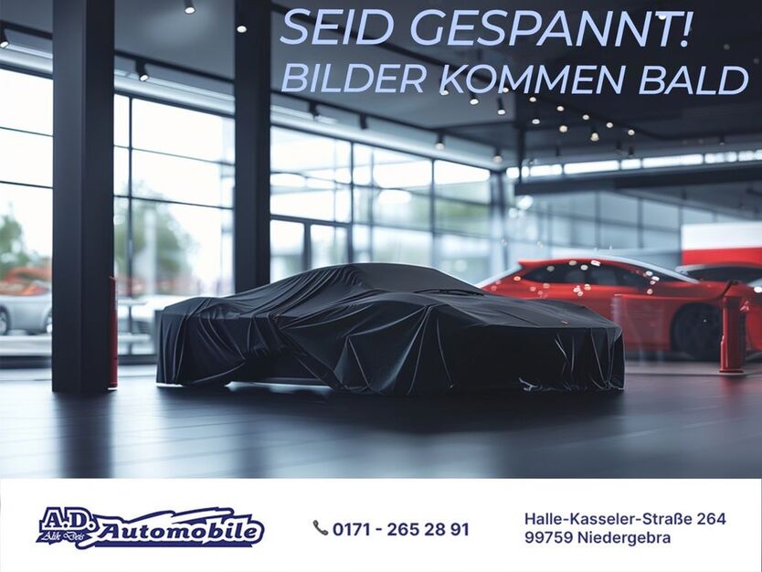 Seat Ibiza 171.758 km 2.990 € Niedergebra 99759