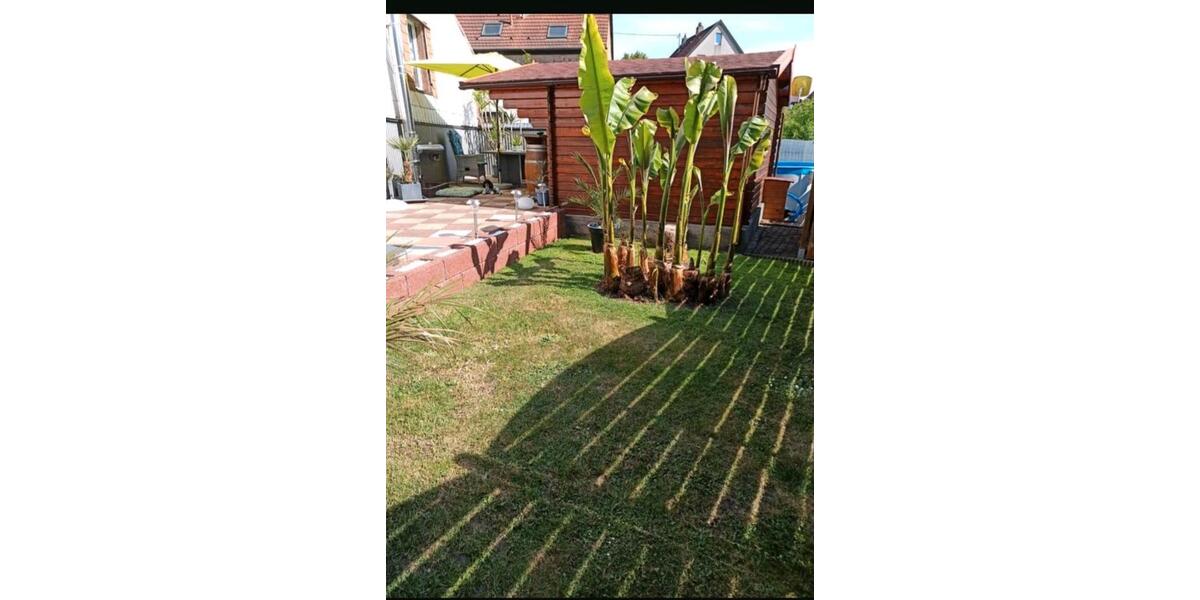 Mehrfamilienhaus, Wohnhaus Schiffweiler - 9 Zimmer, 300 m&sup2;, 228.000&euro; | Angebot:27120412