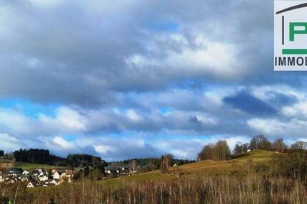 Moderne offene Küche, Wohnzimmer, Schlaf- u. Kinderzimmer, Bad Mietpreis, Größe, Raumaufteilung - perfekt! 3 zimmer