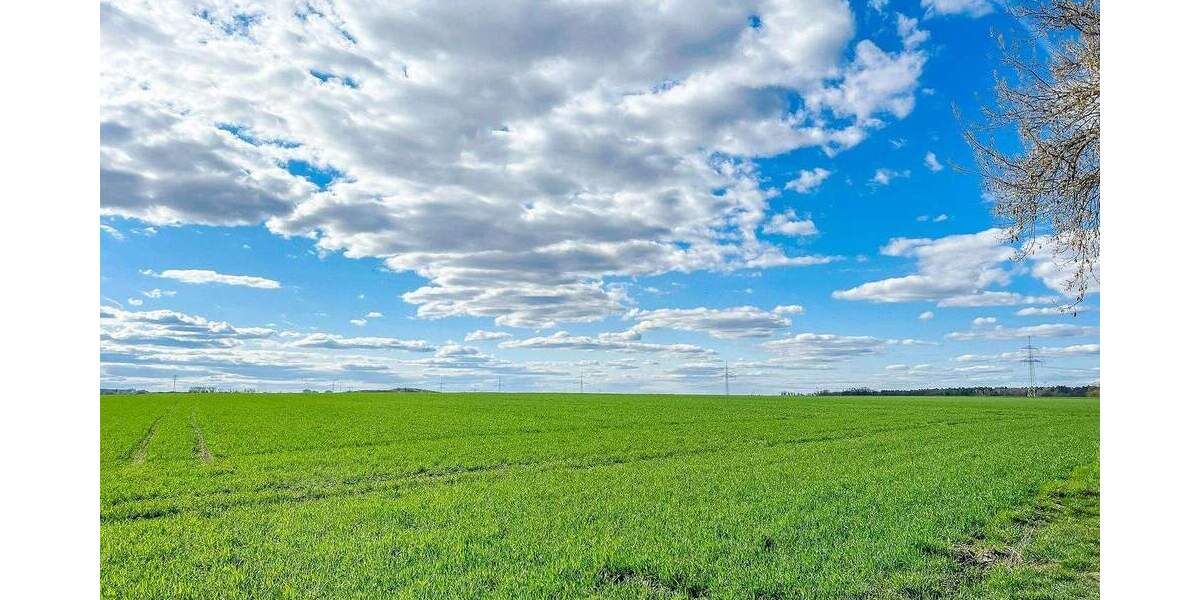 Grundstück Hoppegarten Hönow - 298.000&euro; | Angebot:25665011